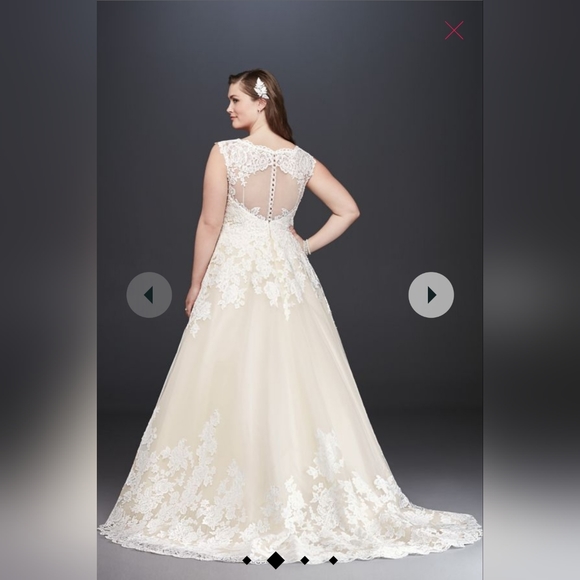 Ivory/Champagne V-neck Scalloped Lace Wedding Dress - Picture 2 of 12